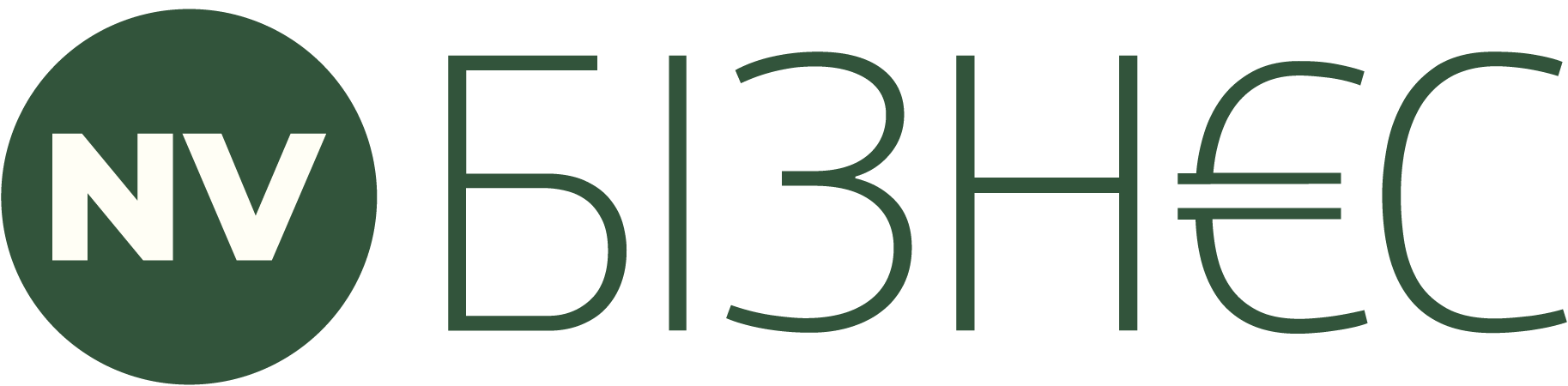 nv_logo_biz_new-01.png